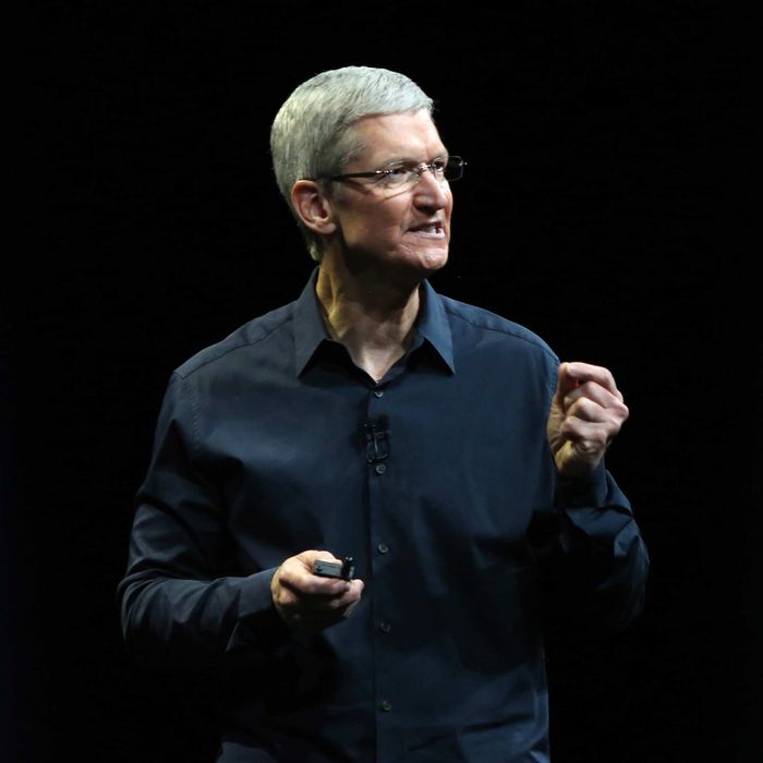 Apple CEO Tim Cook delivers his keynote address at the World Wide developers conference in San Francisco, California June 2, 2014.