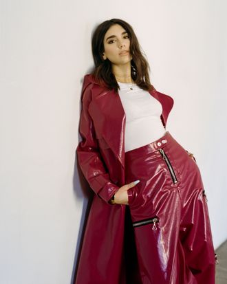 You Call This A Dress? Dua Lipa Is Wearing Next To Nothing In Her New Music  Video - SHEfinds