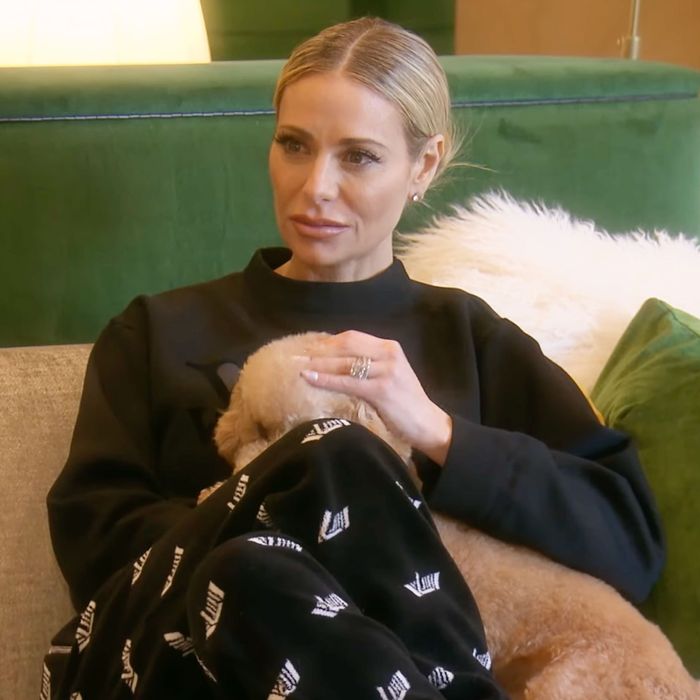 Little Tits Get Fucked - Real Housewives of Beverly Hills Season 12, Episode 12 Recap