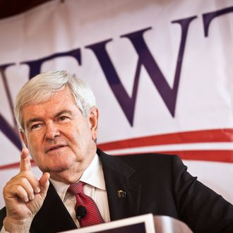 COLUMBIA, SC - DECEMBER 23: Republican presidential candidate Newt Gingrich speaks to supporters on December 23, 2011 in Columbia, South Carolina. Gingrich has been leading in the polls in South Carolina, although South Carolina Gov. Nikki Haley recently endorsed rival former Massachusetts Gov. Mitt Romney. (Photo by Richard Ellis/Getty Images)