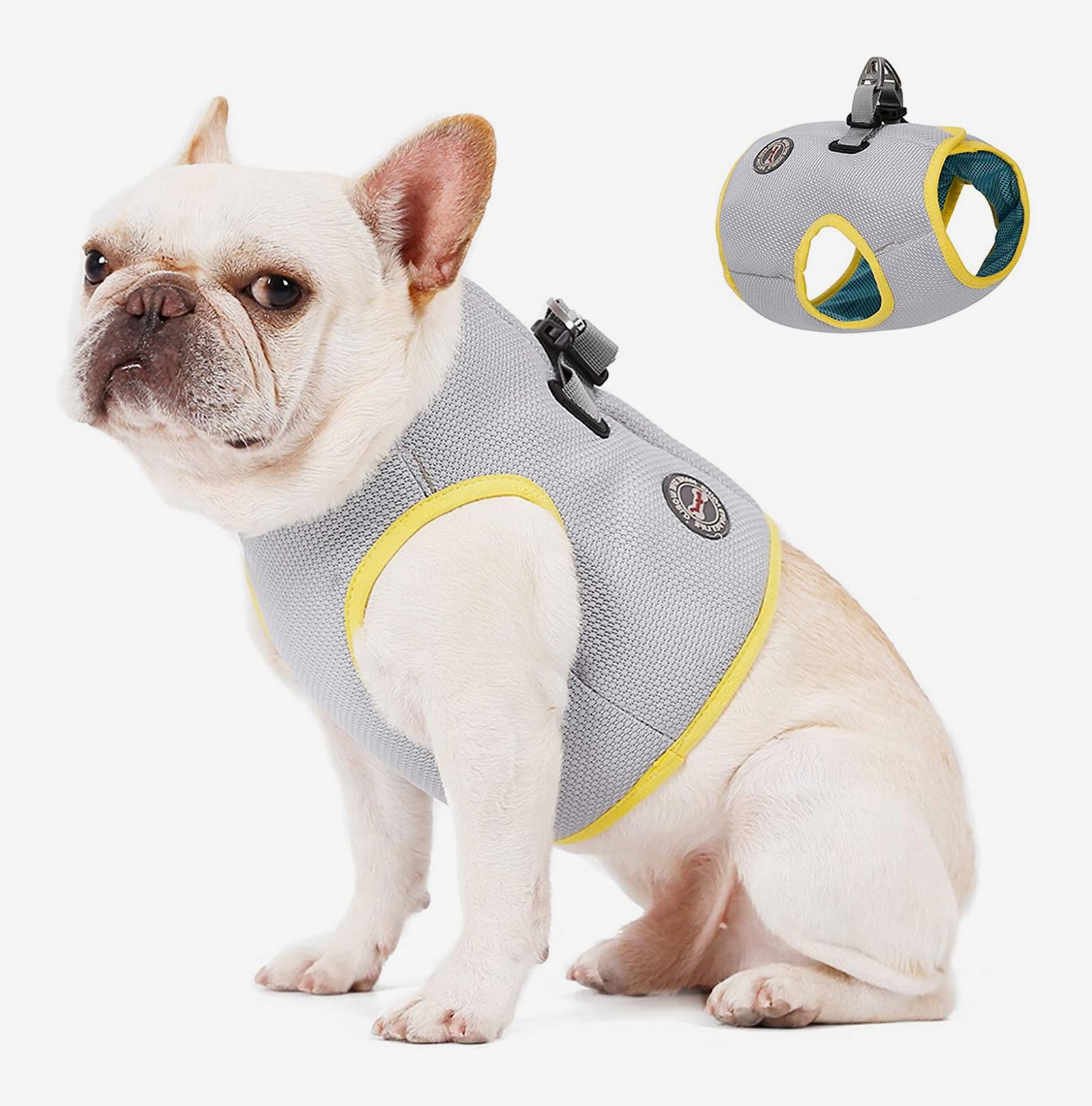 Whats The Best Harness For A French Bulldog