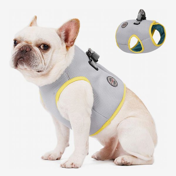 Dog Cooling Vest Harness