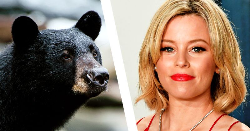 ‘Cocaine Bear’ story to be directed by Elizabeth Banks