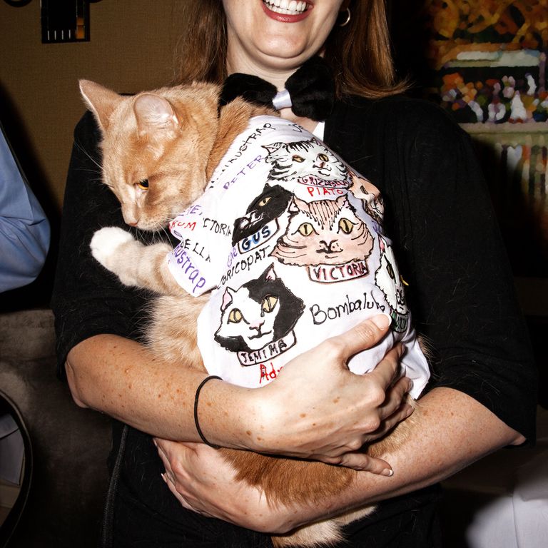 See the Stylish Cats of the Algonquin Cat Fashion Show