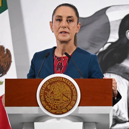 Claudia Sheinbaum Daily Morning Briefing