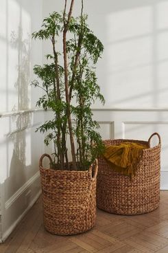 West Elm Curved Seagrass Baskets