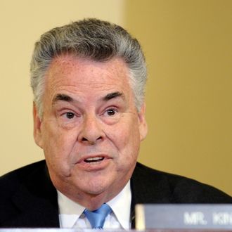 Rep. Peter King, R-N.Y., asks a question of a witness during the House Homeland Security Committee hearing on 