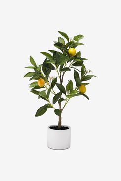 Martha Stewart Collection Hello Sunshine Lemon & Floral 24