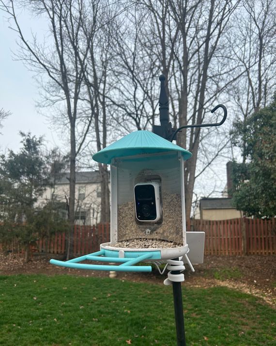 Netvue Birdfy Smart Bird Feeder Review The Strategist