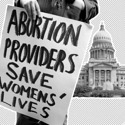 Idaho Passes New ‘Abortion-Trafficking’ Ban