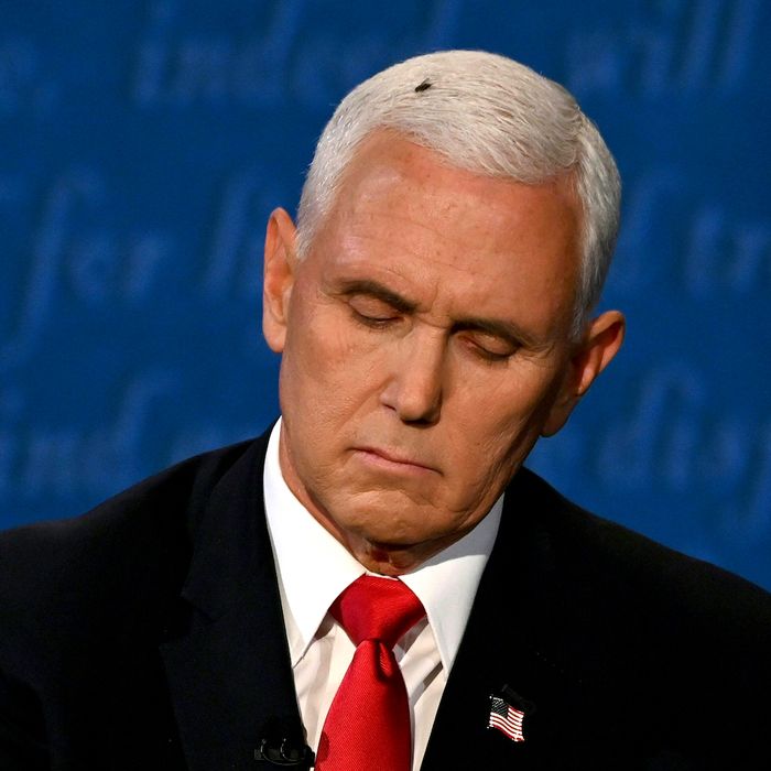 Mike Pence.
