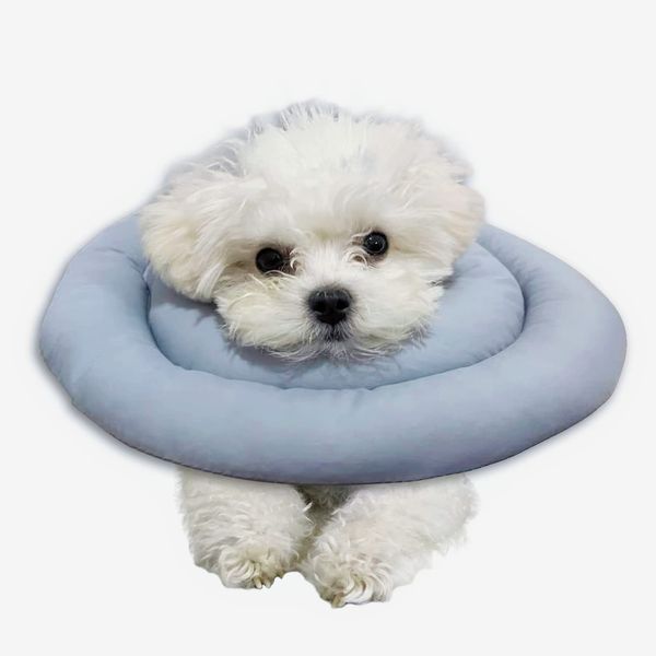 Elizabethan Water-Resistant Recovery Collar