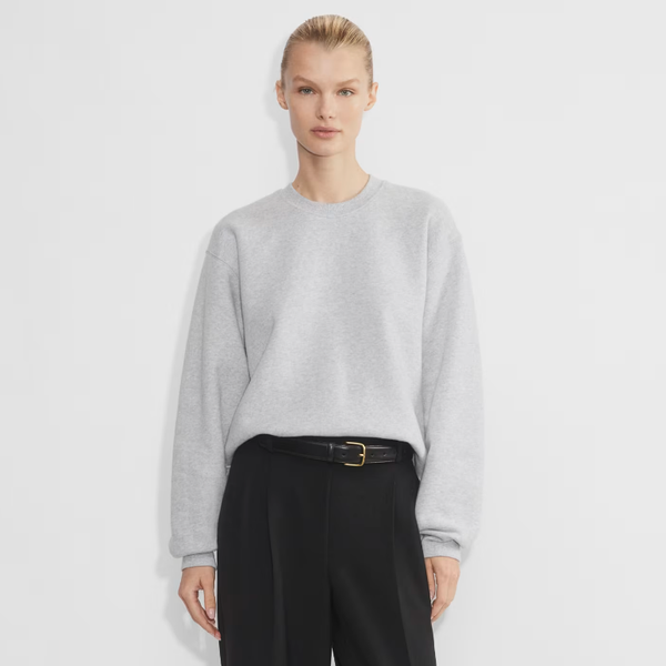 Aritzia Cozy Fleece Perfect Crew Sweatshirt