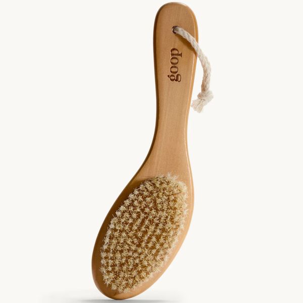 Goop Ultimate Dry Brush