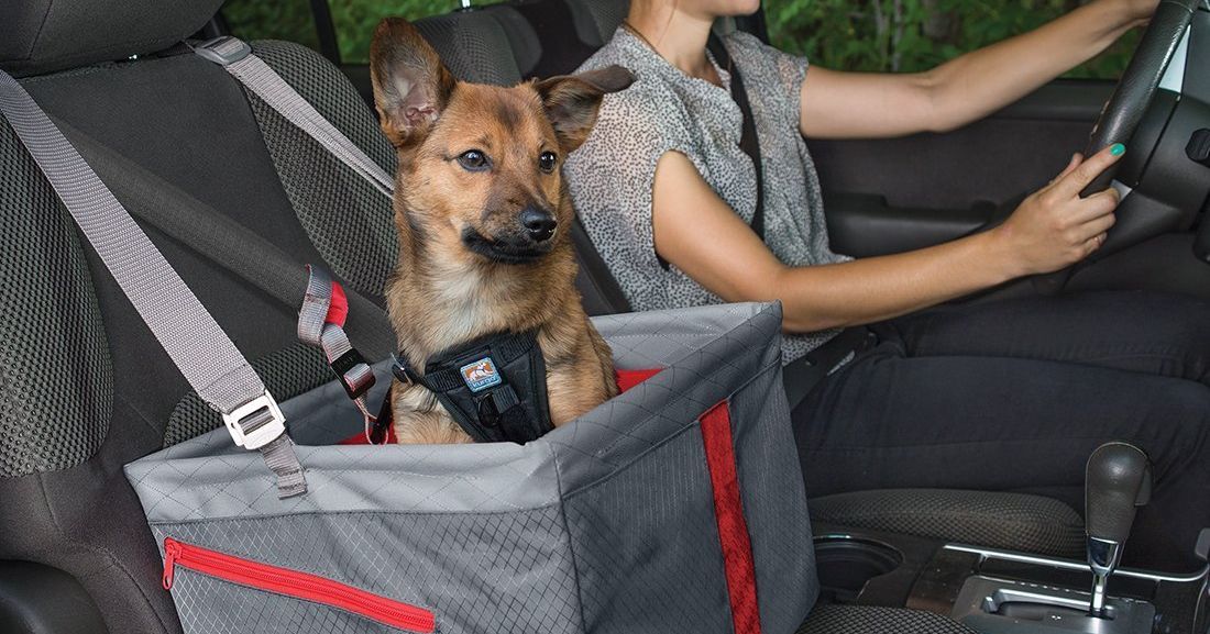 safety tested dog car harness uk