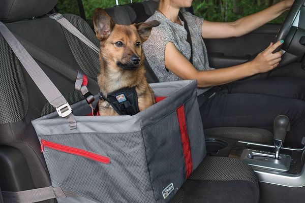 10 Best Car Seats For Dogs 2020 The Strategist - How To Make A Dog Car Seat Cover
