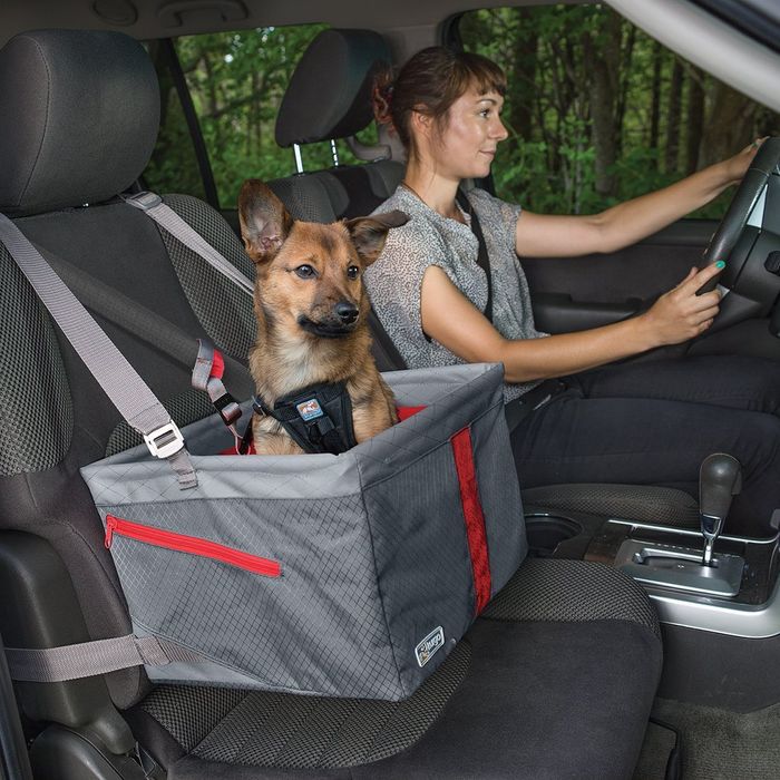 chewy car seats for dogs