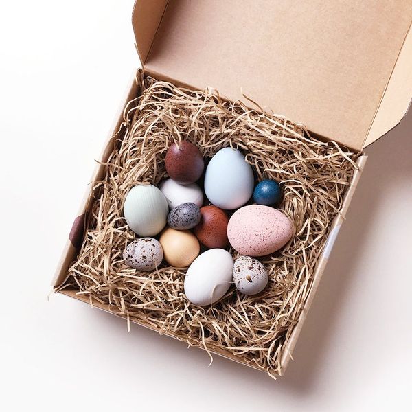 Merci Milo’s Dozen Bird Eggs in Boxed Set