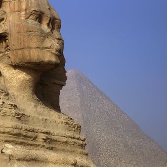 A picture shows the Sphynx near the pyramids in Giza, on the outskirts of Cairo, on November 30, 2010.
