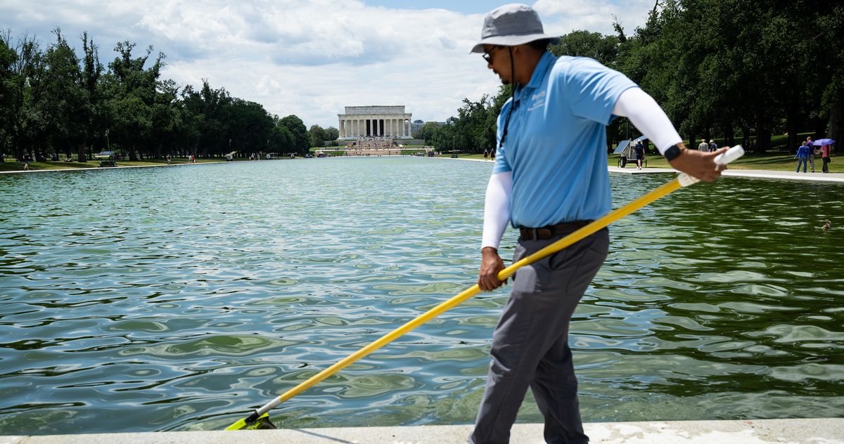 Algae Joins the Resistance Against Trump