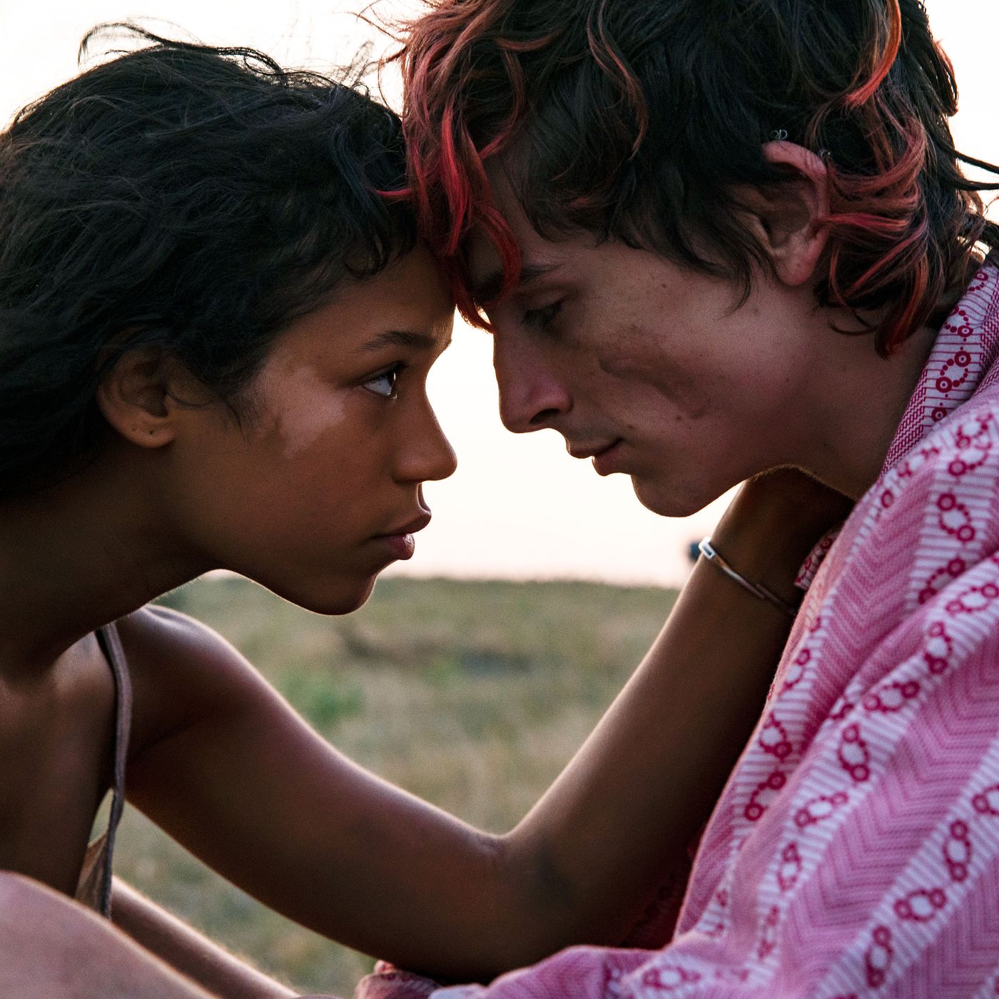 Bones and All': Timothee Chalamet's Fine Young Cannibal Romance