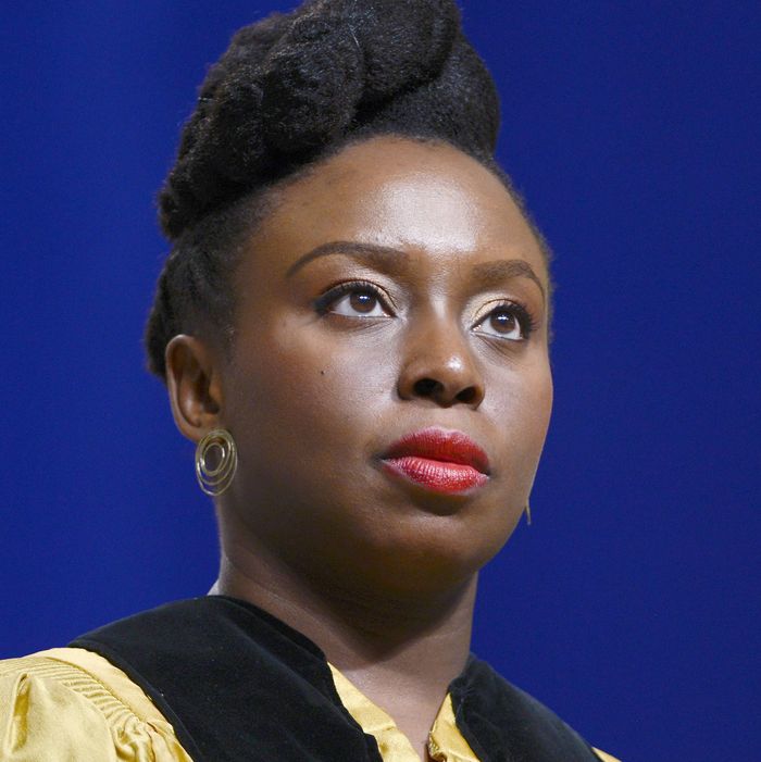 tedx chimamanda ngozi adichie