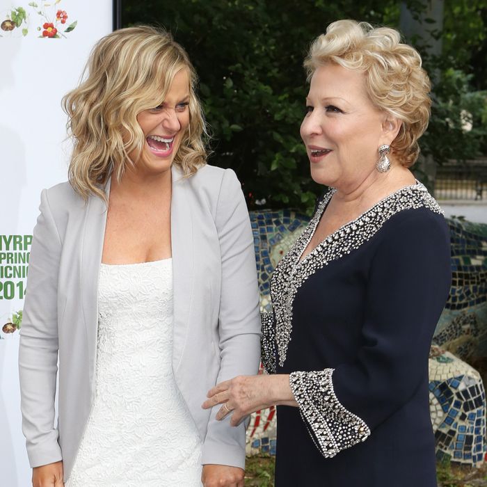 Cynthia Nixon, Amy Poehler and Bette Midler attend the NYRP 13th annual spring gala at General Grant National Memorial on May 29, 2014 in New York City.