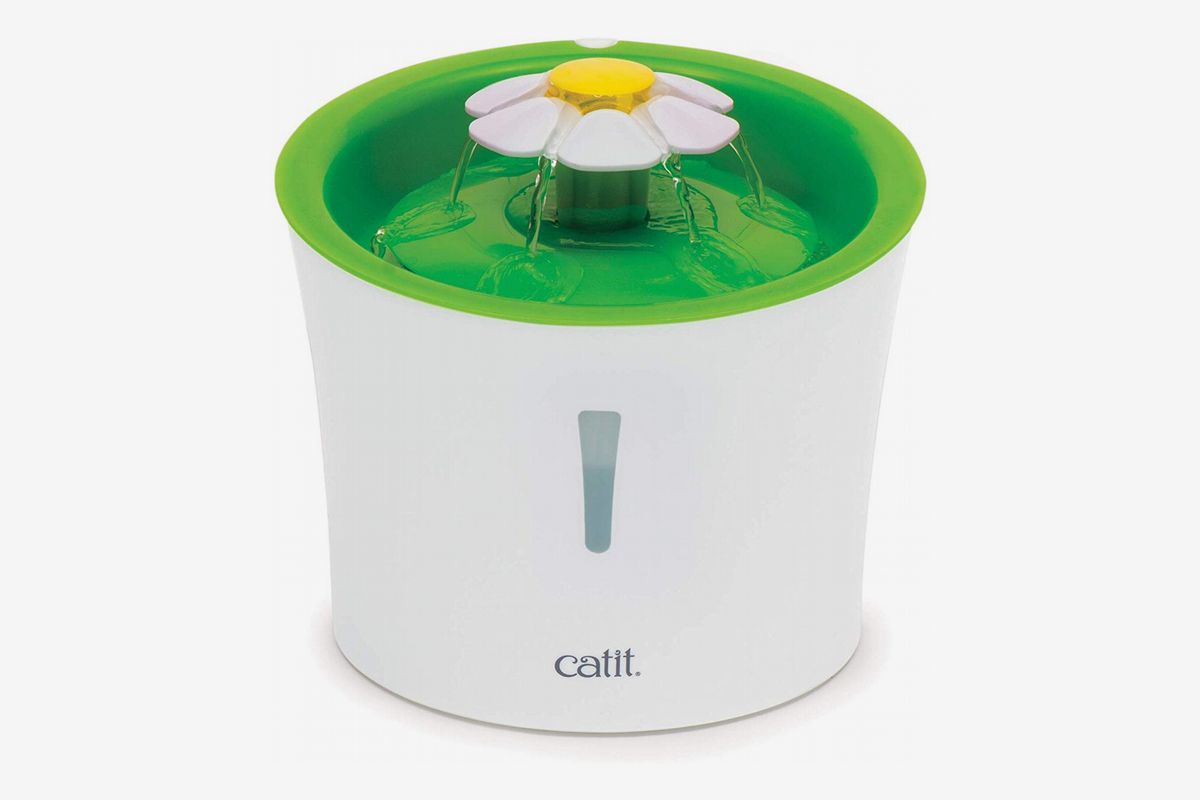 automatic dog feeder petsmart