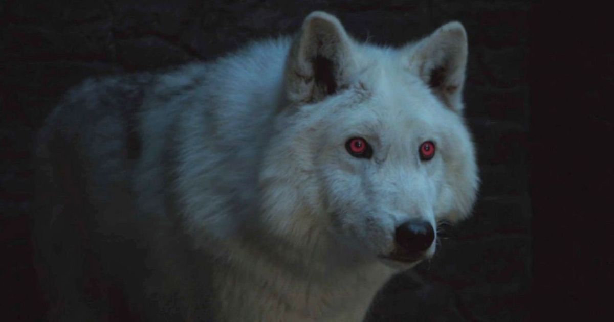 Game Of Thrones Direwolf