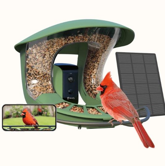 Birdfy Feeder 2