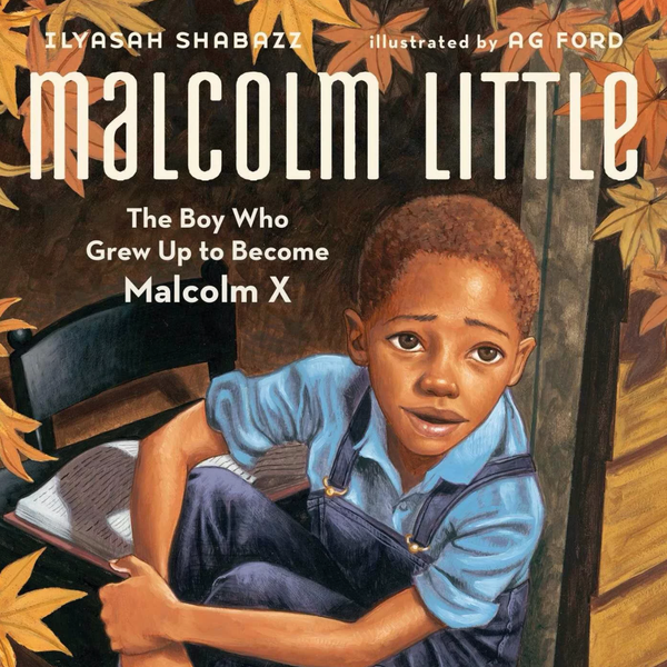 Malcolm Little: The Boy Who Grew Up to Become Malcolm X by Ilyasah Shabazz