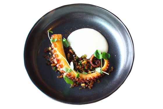 Tuome's critically acclaimed octopus.