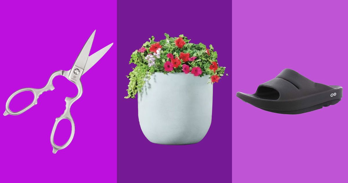 Strategist Circular: 10 Things We Loved Last Week - Vimarsana News