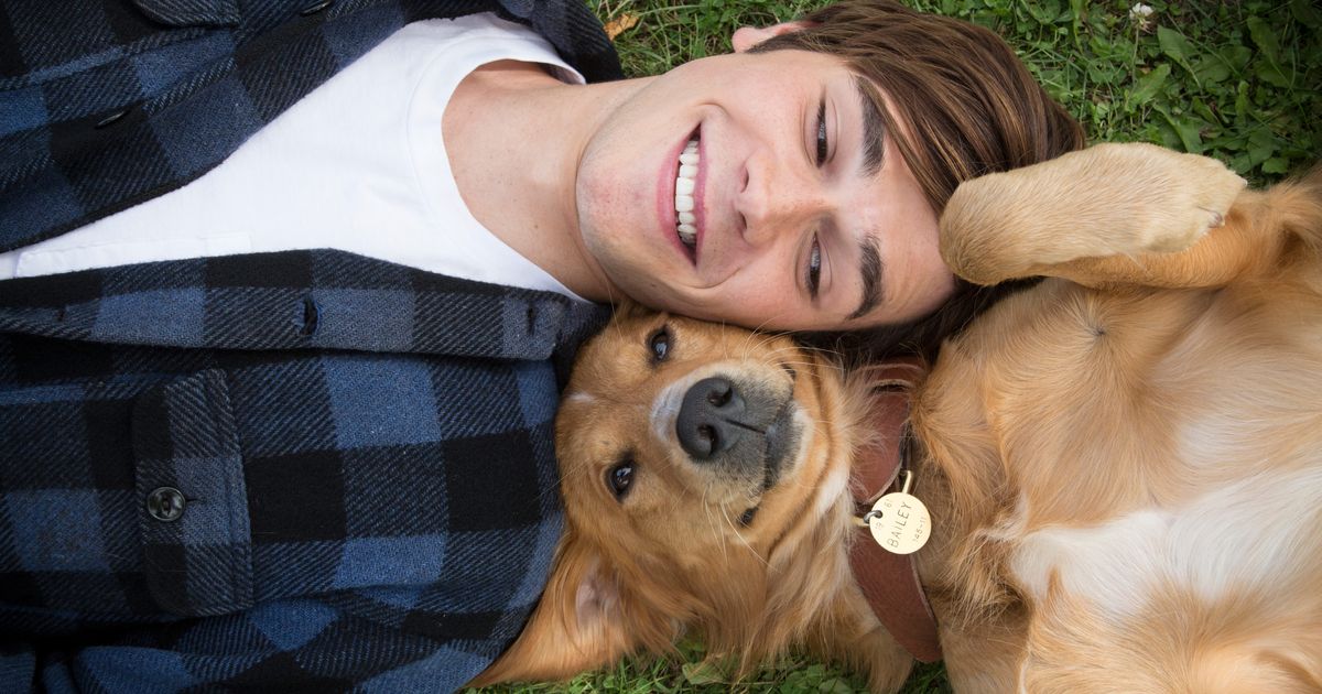 犬の目的あなたを病気にするのに十分甘いです