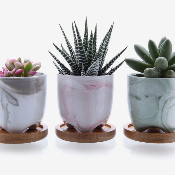 Succulent Pots Trays Round Set of 6 FairyLavie 2.5 Inch Plant Saucers Little Pots Holder Drainage Tray for Most Small Plant Pot Flower Pot 