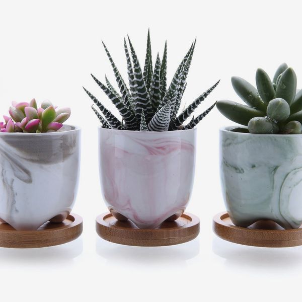 Succulent Pots, White Mini Ceramic Flower Planter Pot with Bamboo Tray -  Plants Not Included