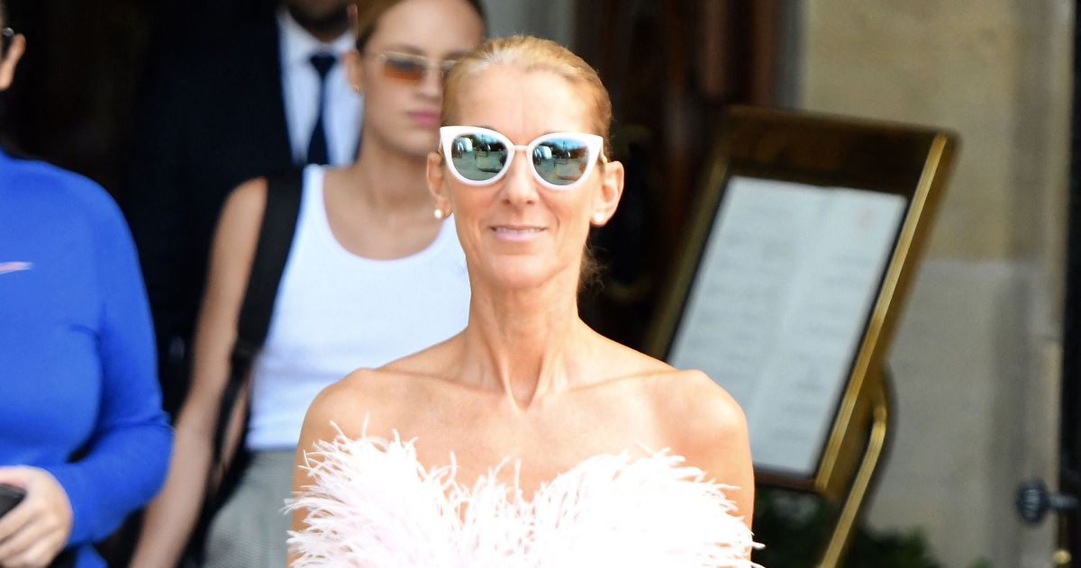 Celine Dion Wears Asymmetrical Ksenia Schnaider Jeans