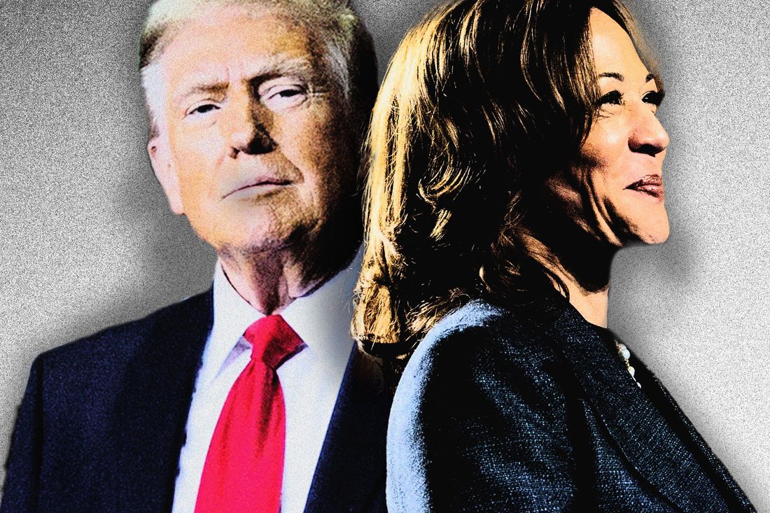 The Harris vs. Trump Races Hinges on These 3 Factors