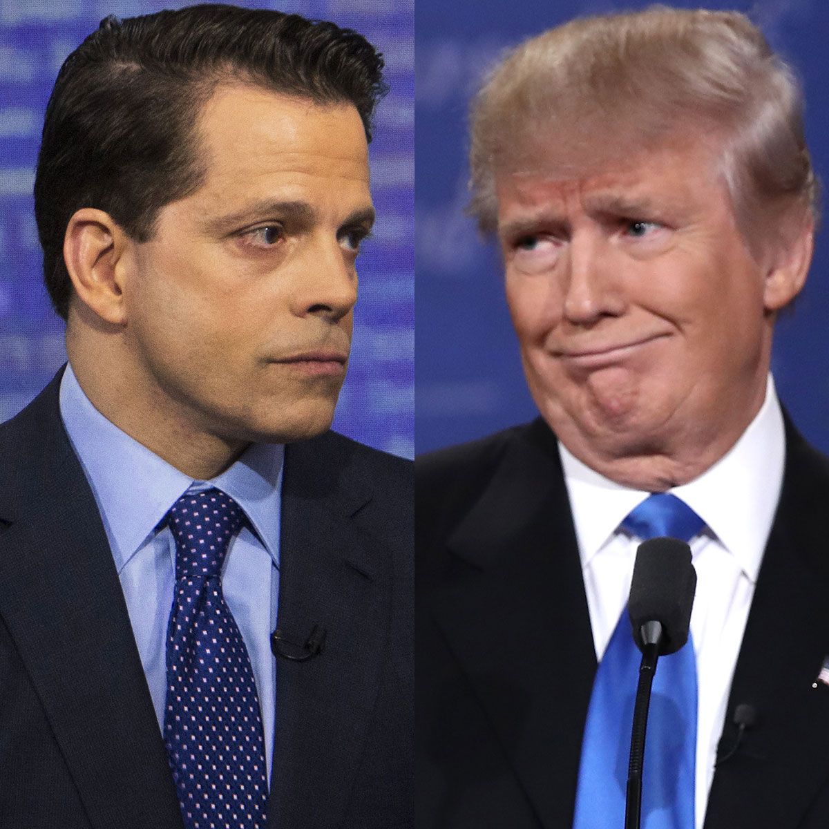 Anthony Scaramucci Comms Director Tweets Disagree With Trump