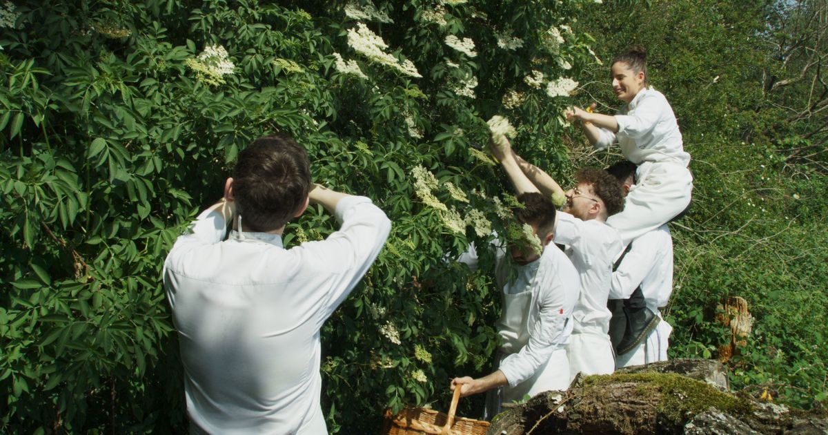 On Film, the Romance of French Cooking Is Forever - Vimarsana News