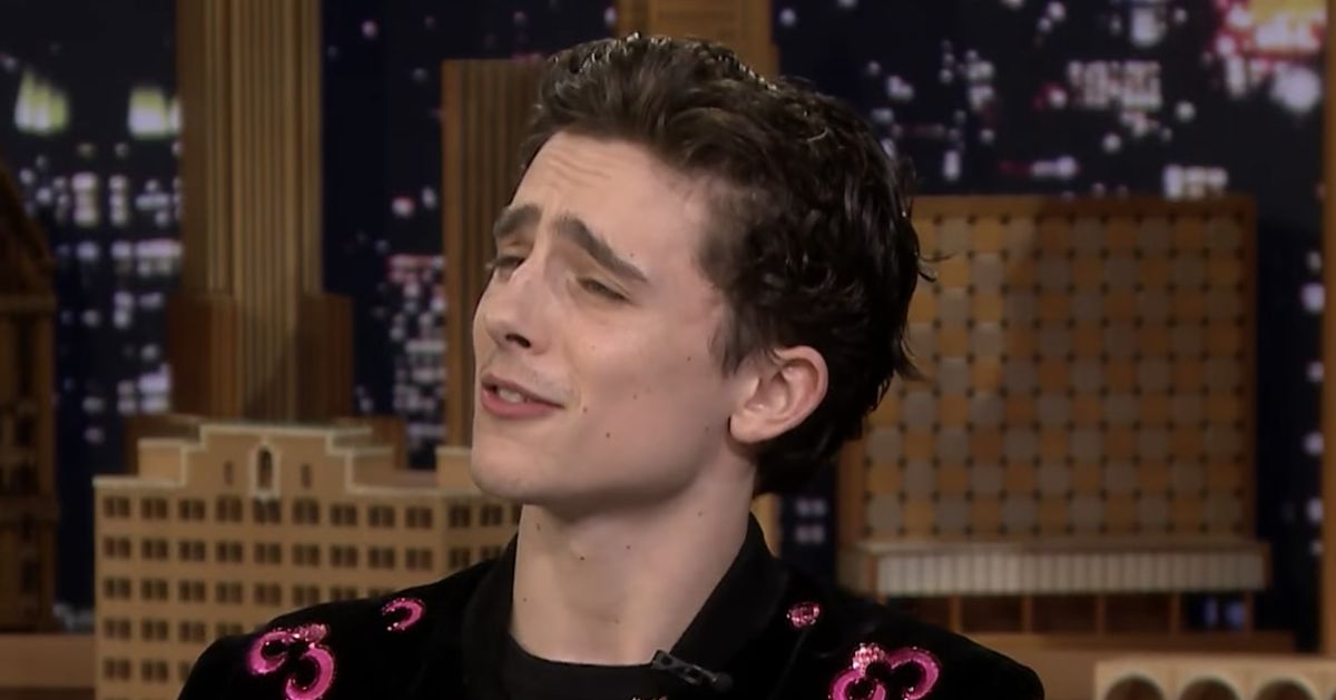 Timothée Chalamet Does Impression of Guy He Vows Never to Be