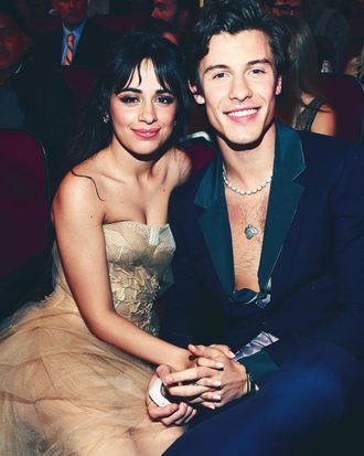 Shawn Mendes y Camila Cabello se han separado