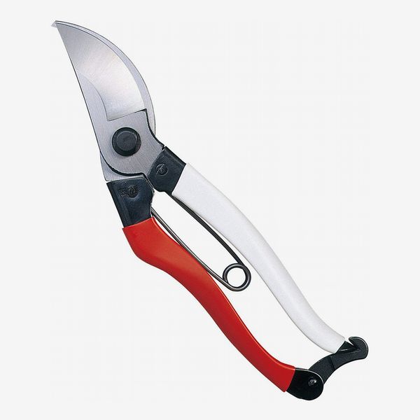 Red Garden Shears with Spring and Safety Buckle Tree Trimmers Secateurs T-MAI SK-5 Bypass Hand Pruners Pruning Shears Garden Clippers for Garden Harvesting Fruits & Vegetables 