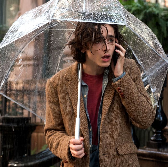 timothee chalamet a rainy day in new york