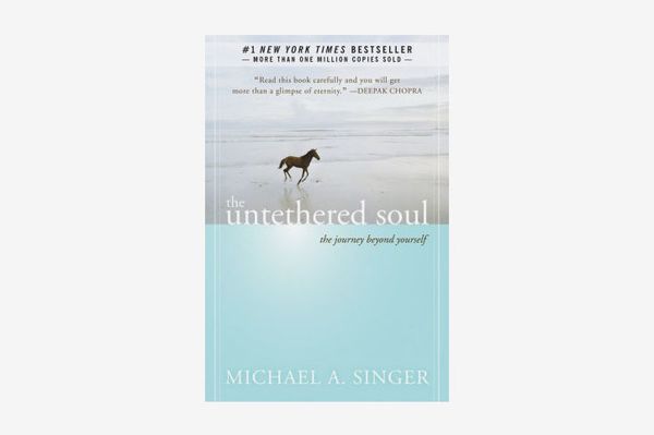 The Untethered Soul: The Journey Beyond Yourself by Michael Singer