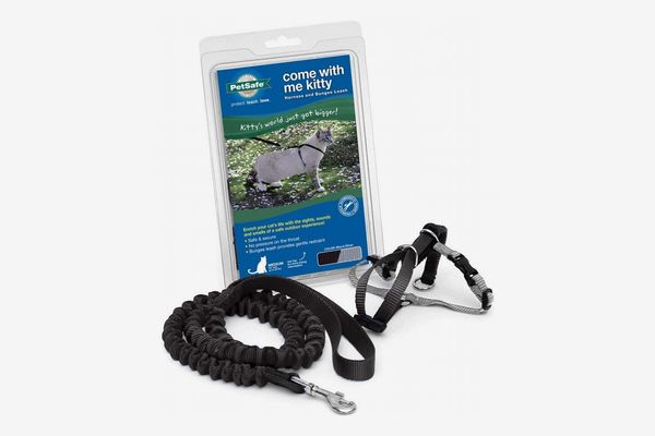 PetSafe Come With Me Kitty Harness and Bungee Leash, Harness for Cats