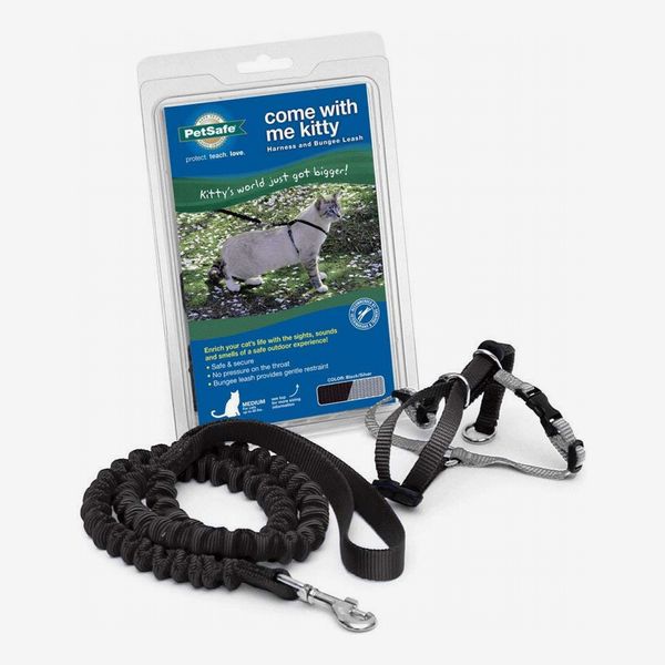 PetSafe Come With Me Kitty Nylon Cat Harness & Leash