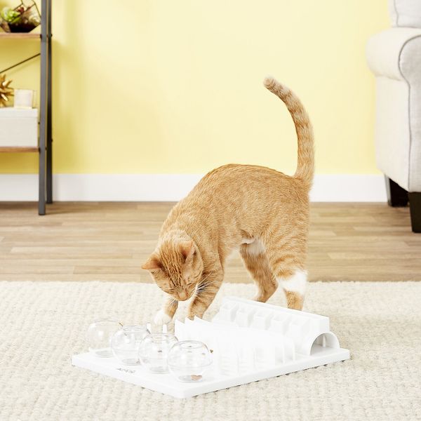 12 Best Food Puzzles For Cats And Dogs 2022 The Strategist - Diy Wet Cat Food Puzzle