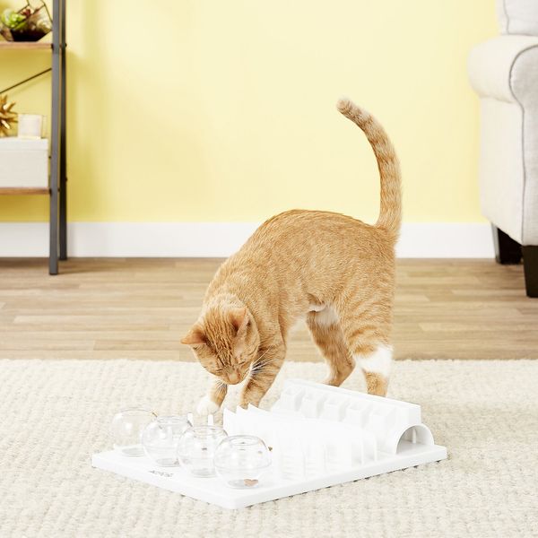 best cat food puzzles