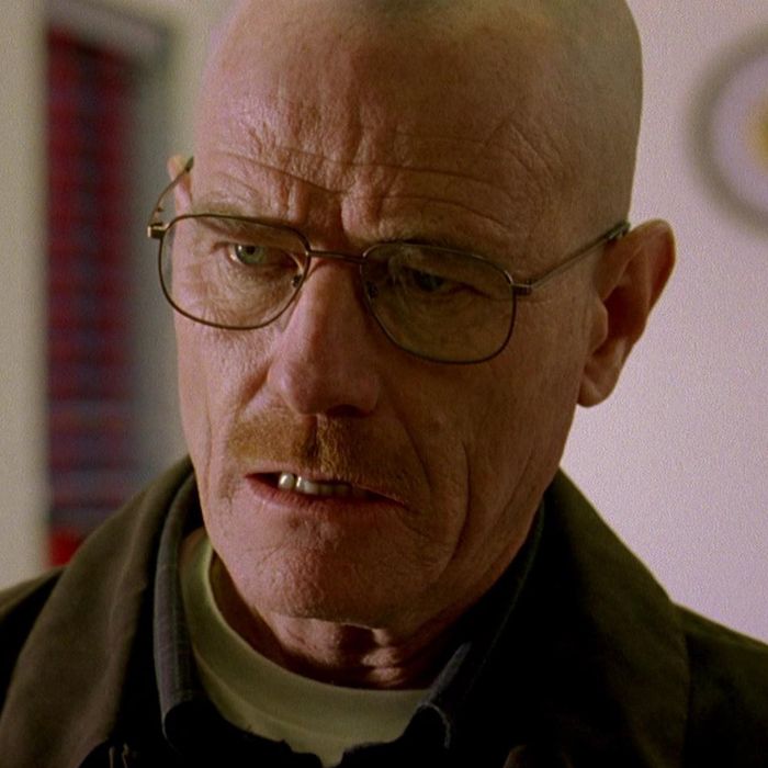 ‘Breaking Bad’ Season 2, Episode 11 Recap: Mandala